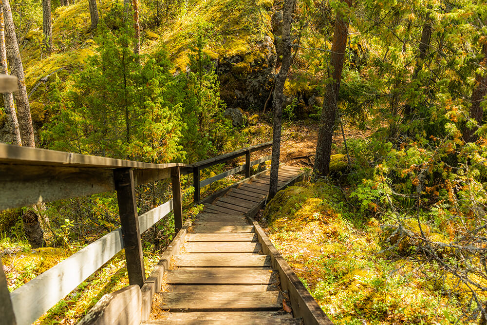 36 põhjust Helsingisse armumiseks
