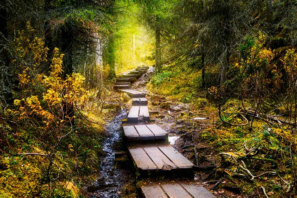 Мир и&nbsp;покой в&nbsp;Хельсинки