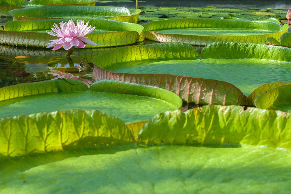 Мир и&nbsp;покой в&nbsp;Хельсинки